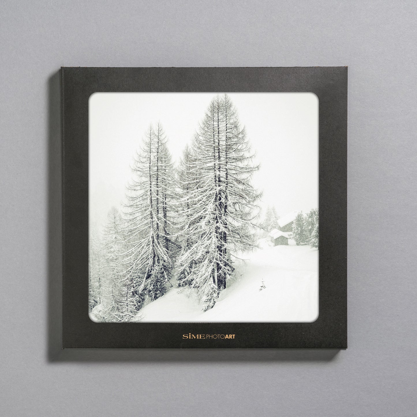 Alberi innevati sul Monte Burz