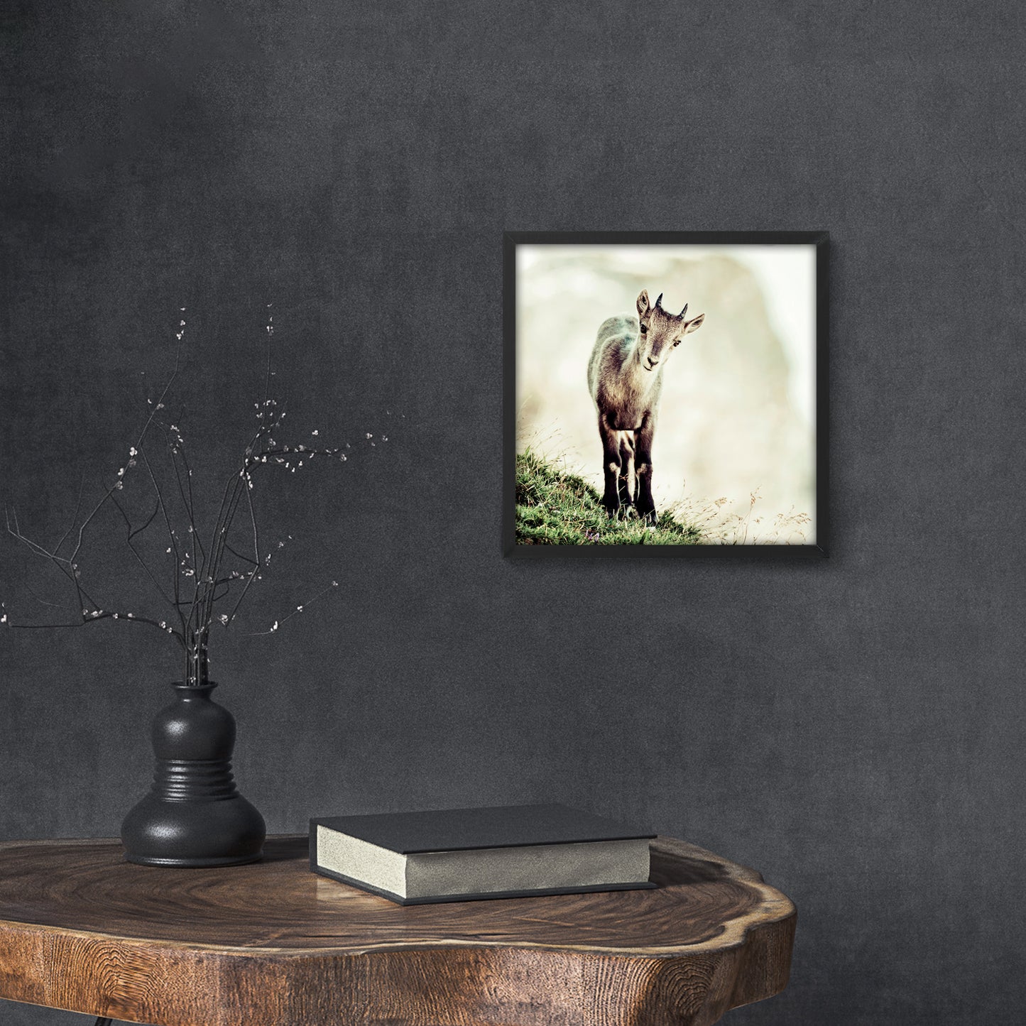 Cucciolo di stambecco (capra ibex)