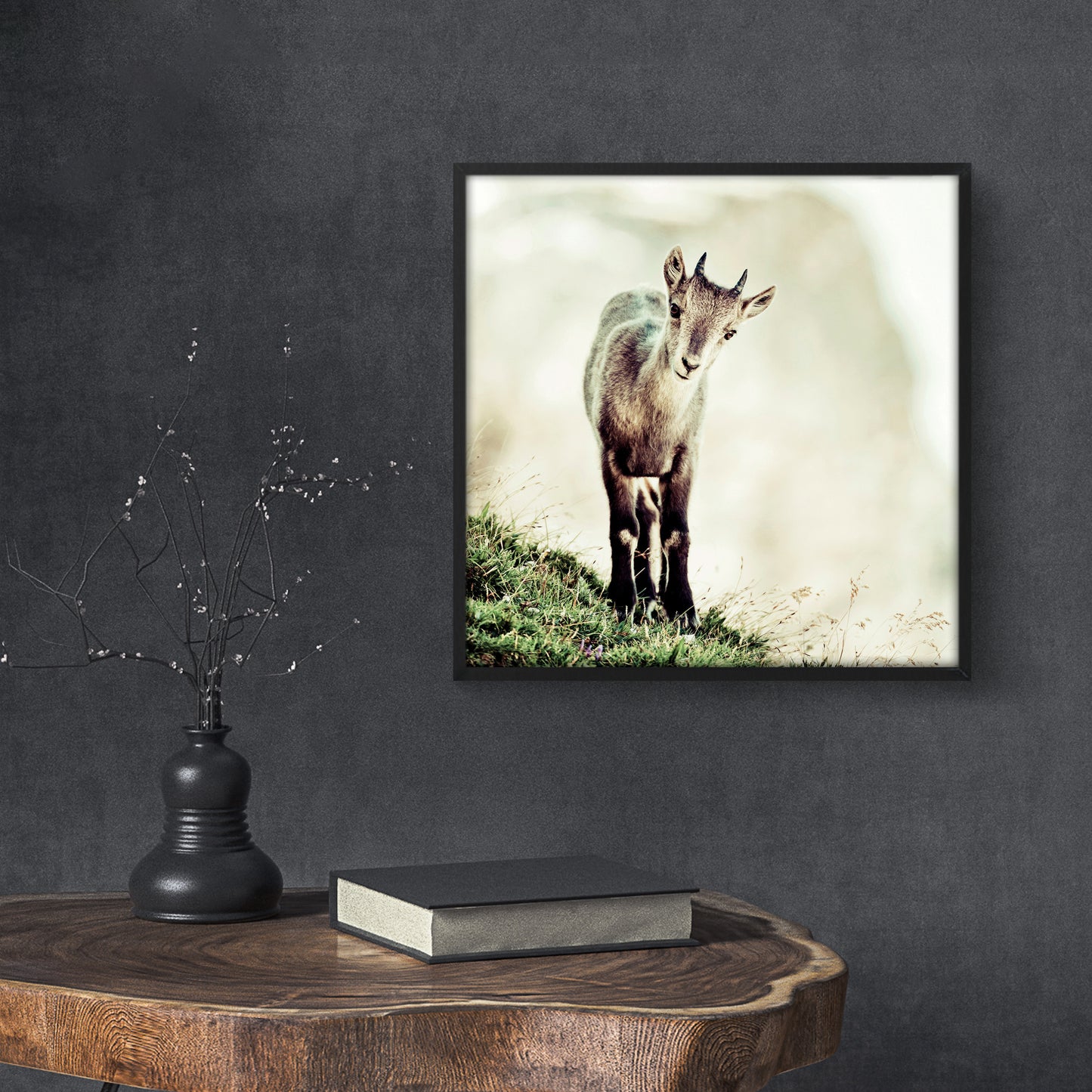 Cucciolo di stambecco (capra ibex)