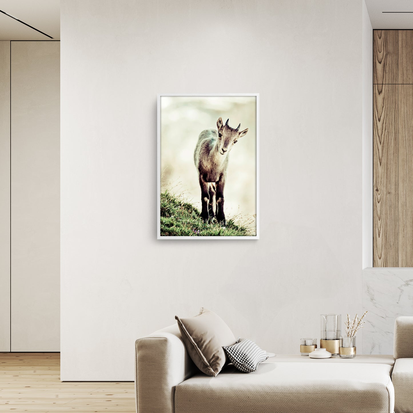 Cucciolo di stambecco (capra ibex)