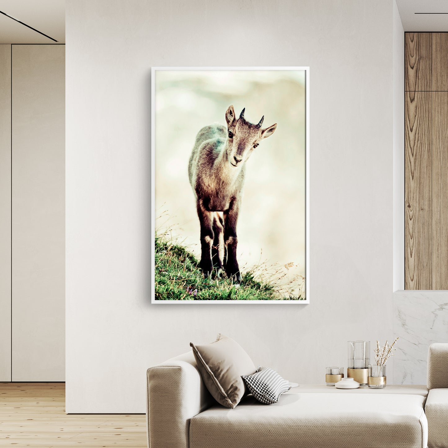 Cucciolo di stambecco (capra ibex)
