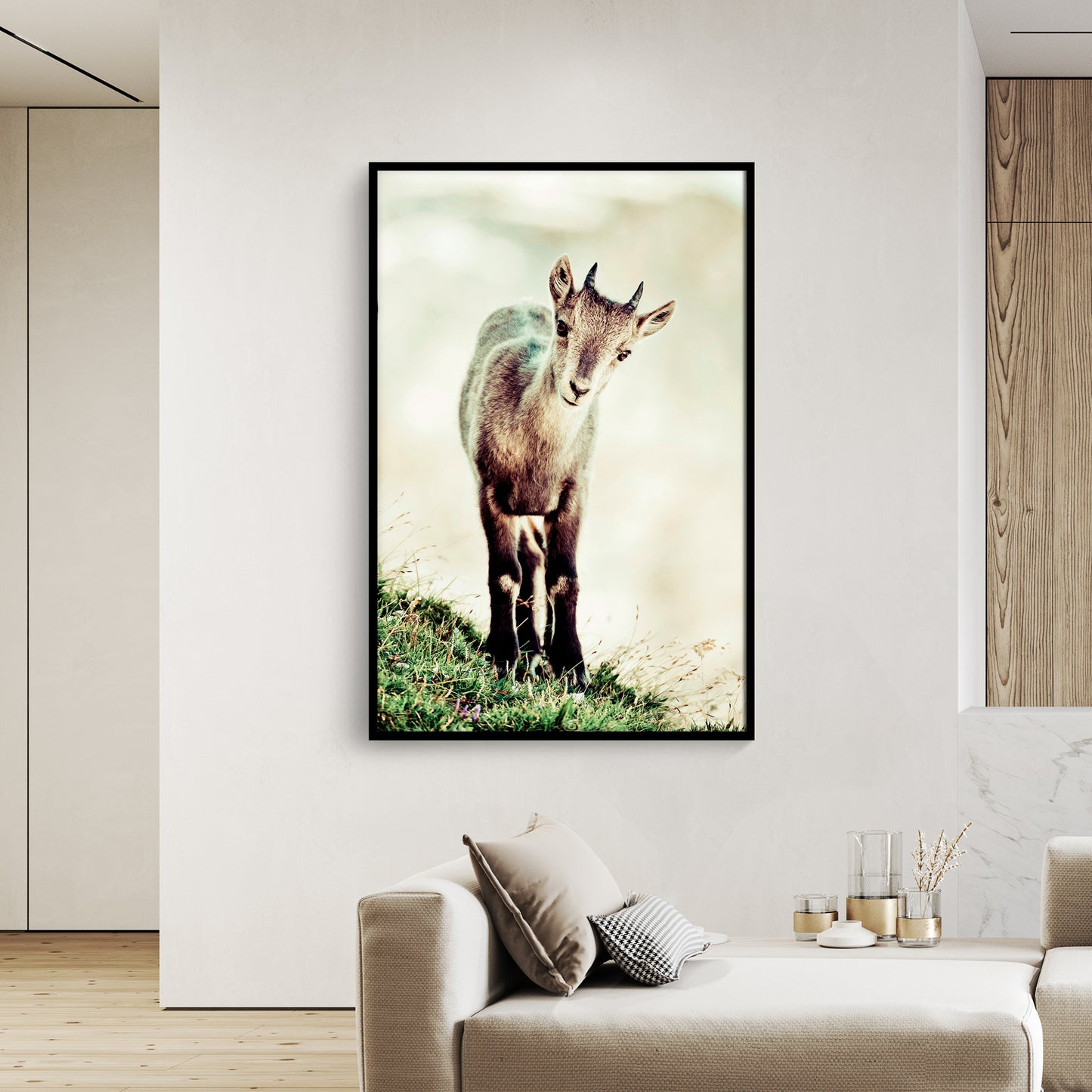 Cucciolo di stambecco (capra ibex)