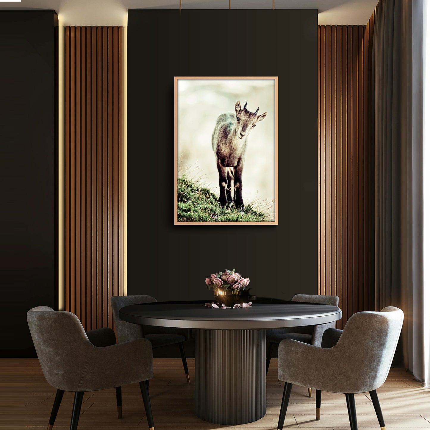 Cucciolo di stambecco (capra ibex)