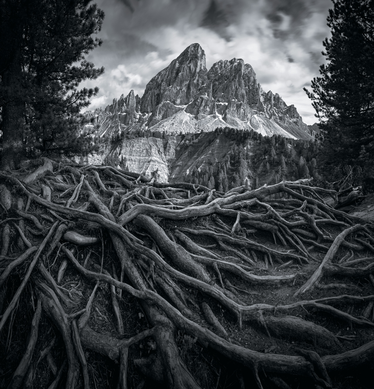Passo delle Erbe