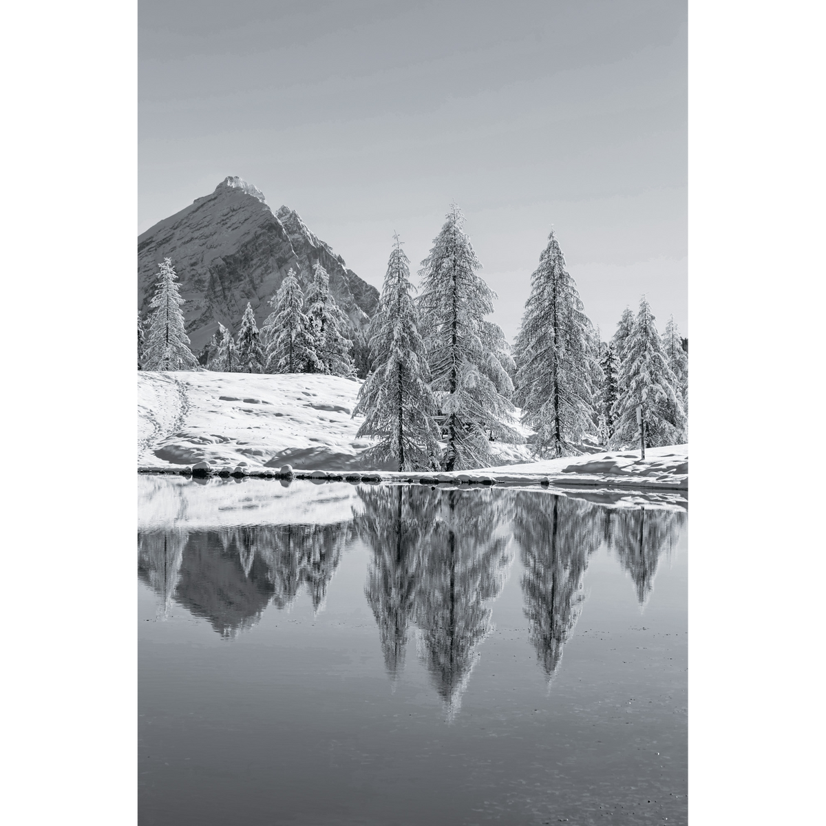 Il Monte Antelao si specchia sul Lago Federa