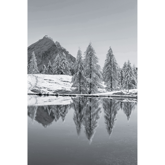 Il Monte Antelao si specchia sul Lago Federa