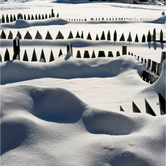 Recinti con pali scuri che emergono da un paesaggio innevato, tra cumuli di neve ondulati e ombre bluastre create dalla luce invernale.