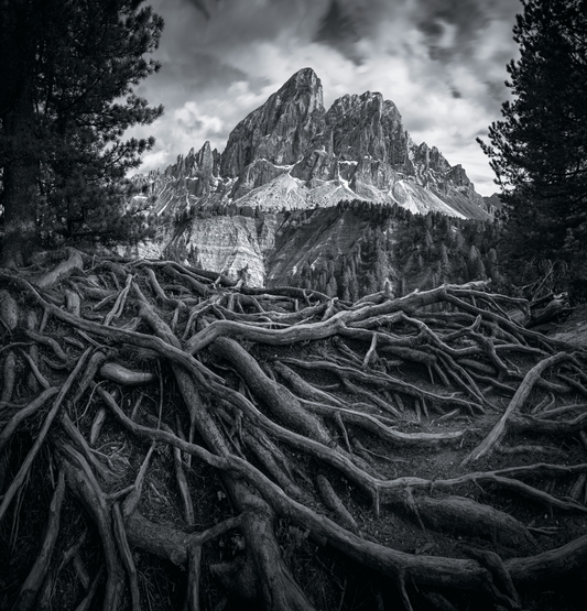 Passo delle Erbe